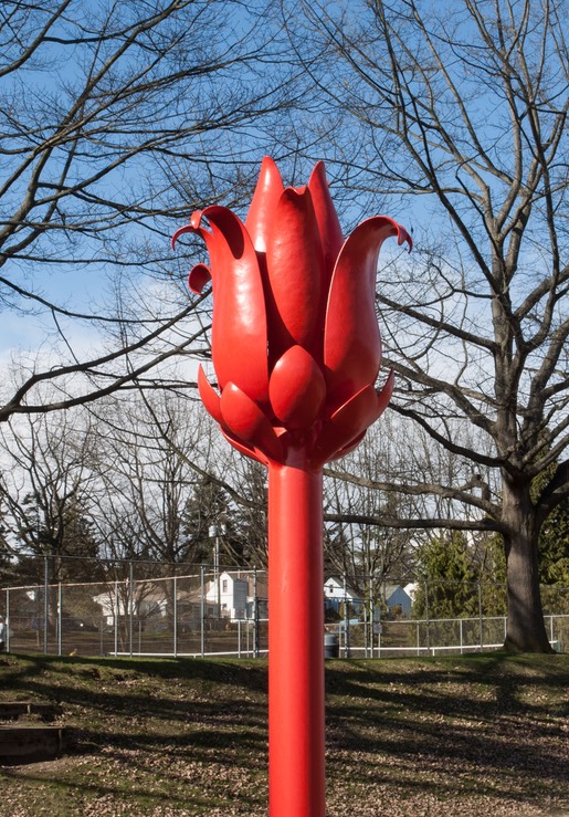 Magnolia Bud