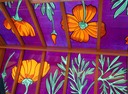 Poppies