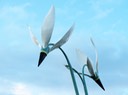 skyflower