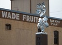 Wade Fruit-2sm